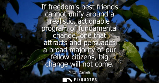 Small: If freedoms best friends cannot unify around a realistic, actionable program of fundamental change, one