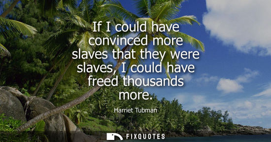 Small: If I could have convinced more slaves that they were slaves, I could have freed thousands more