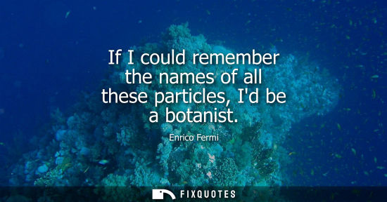 Small: If I could remember the names of all these particles, Id be a botanist