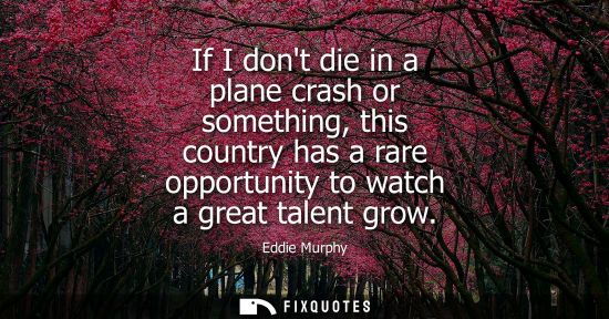 Small: Eddie Murphy: If I dont die in a plane crash or something, this country has a rare opportunity to watch a grea