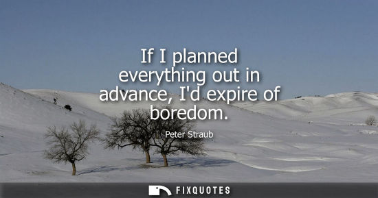 Small: If I planned everything out in advance, Id expire of boredom