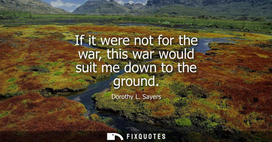 Small: If it were not for the war, this war would suit me down to the ground