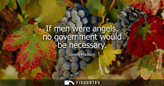 Small: If men were angels, no government would be necessary