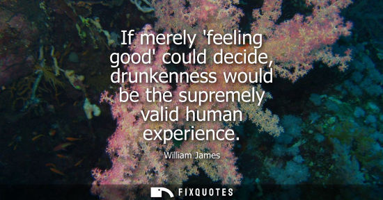 Small: If merely feeling good could decide, drunkenness would be the supremely valid human experience