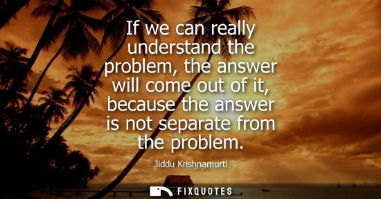 Small: If we can really understand the problem, the answer will come out of it, because the answer is not sepa