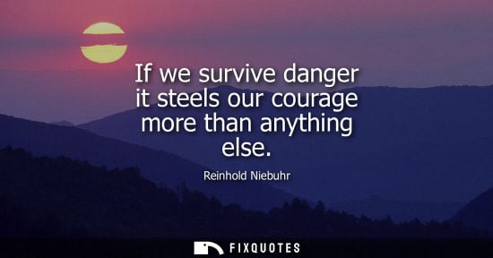 Small: Reinhold Niebuhr: If we survive danger it steels our courage more than anything else