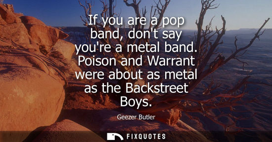 Small: If you are a pop band, dont say youre a metal band. Poison and Warrant were about as metal as the Backstreet B