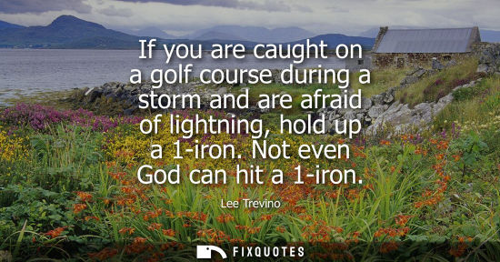 Small: If you are caught on a golf course during a storm and are afraid of lightning, hold up a 1-iron. Not ev