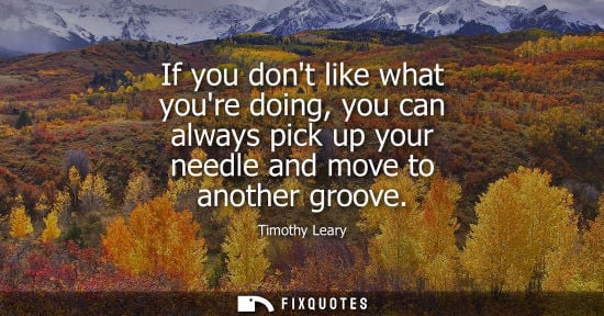 Small: If you dont like what youre doing, you can always pick up your needle and move to another groove
