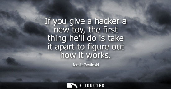 Small: If you give a hacker a new toy, the first thing hell do is take it apart to figure out how it works - Jamie Za
