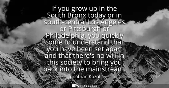 Small: If you grow up in the South Bronx today or in south-central Los Angeles or Pittsburgh or Philadelphia, you qui