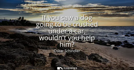 Small: If you saw a dog going to be crushed under a car, wouldnt you help him?