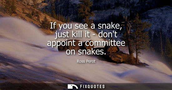 Small: If you see a snake, just kill it - dont appoint a committee on snakes