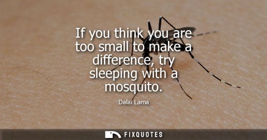 Small: If you think you are too small to make a difference, try sleeping with a mosquito