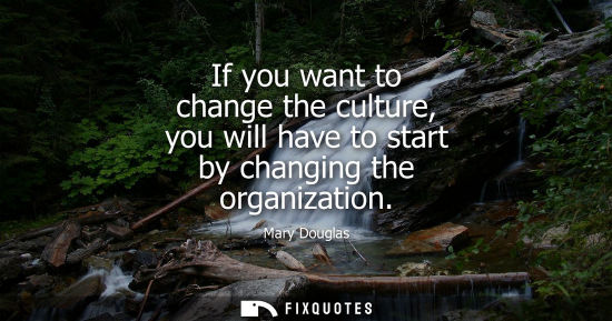 Small: If you want to change the culture, you will have to start by changing the organization