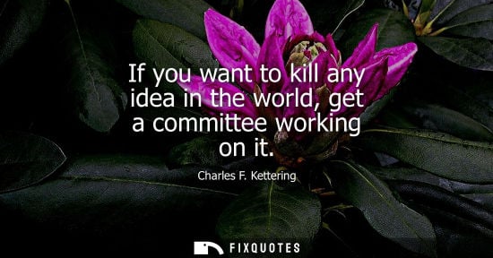 Small: If you want to kill any idea in the world, get a committee working on it - Charles F. Kettering