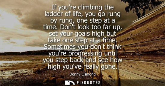 Small: Donny Osmond: If youre climbing the ladder of life, you go rung by rung, one step at a time. Dont look too far