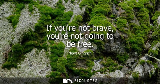 Small: If youre not brave, youre not going to be free - Newt Gingrich