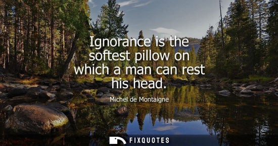 Small: Ignorance is the softest pillow on which a man can rest his head