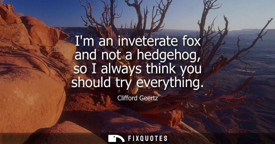Small: Im an inveterate fox and not a hedgehog, so I always think you should try everything