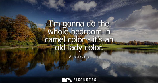 Small: Im gonna do the whole bedroom in camel color - its an old lady color