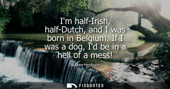 Small: Im half-Irish, half-Dutch, and I was born in Belgium. If I was a dog, Id be in a hell of a mess!