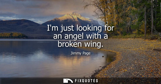 Small: Im just looking for an angel with a broken wing