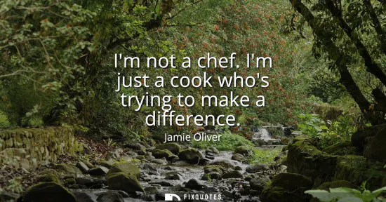 Small: Im not a chef. Im just a cook whos trying to make a difference