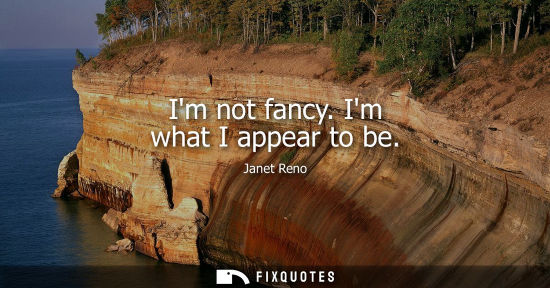 Small: Im not fancy. Im what I appear to be - Janet Reno