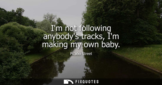 Small: Picabo Street: Im not following anybodys tracks, Im making my own baby
