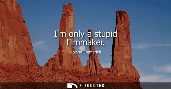 Small: Im only a stupid filmmaker