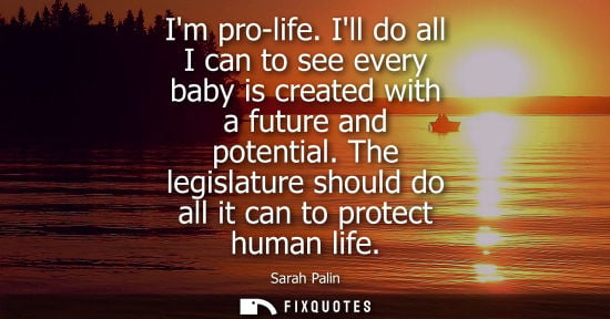 Small: Im pro-life. Ill do all I can to see every baby is created with a future and potential. The legislature