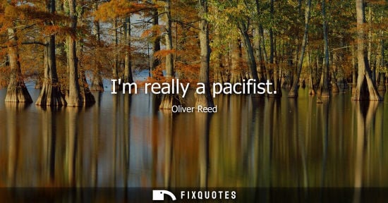 Small: Im really a pacifist