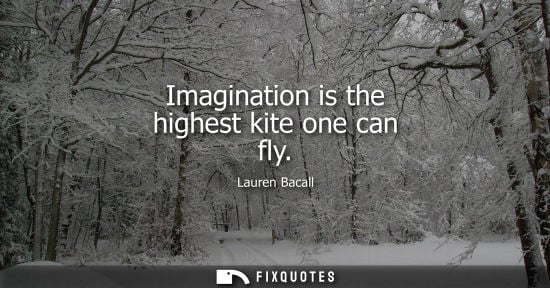 Small: Imagination is the highest kite one can fly