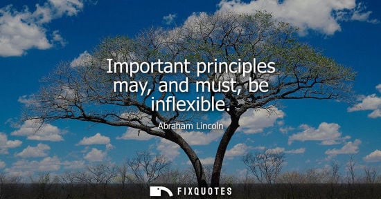 Small: Important principles may, and must, be inflexible - Abraham Lincoln