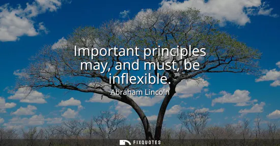 Small: Important principles may, and must, be inflexible
