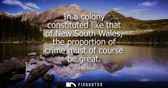 Small: Charles Sturt: In a colony constituted like that of New South Wales, the proportion of crime must of course be