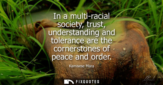 Small: In a multi-racial society, trust, understanding and tolerance are the cornerstones of peace and order