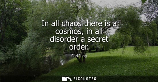 Small: In all chaos there is a cosmos, in all disorder a secret order - Carl Jung