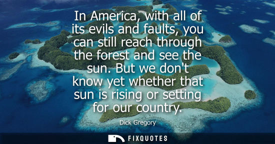 Small: In America, with all of its evils and faults, you can still reach through the forest and see the sun.