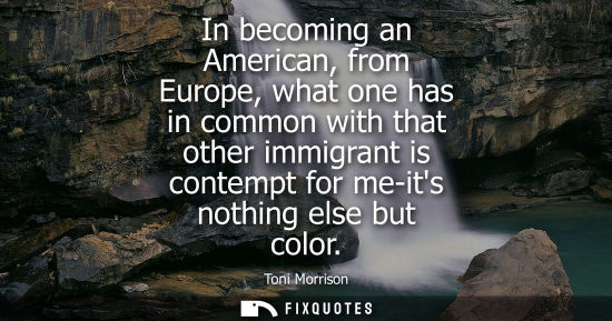 Small: In becoming an American, from Europe, what one has in common with that other immigrant is contempt for 