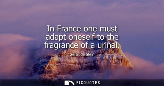 Small: In France one must adapt oneself to the fragrance of a urinal