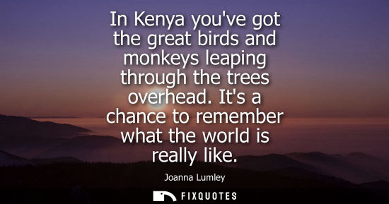 Small: In Kenya youve got the great birds and monkeys leaping through the trees overhead. Its a chance to reme