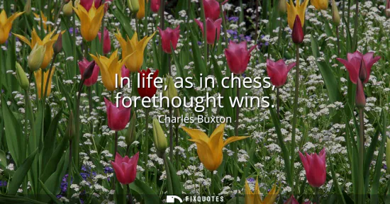 Small: In life, as in chess, forethought wins