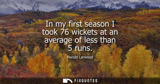 Small: In my first season I took 76 wickets at an average of less than 5 runs