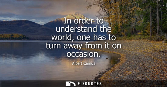 Small: In order to understand the world, one has to turn away from it on occasion