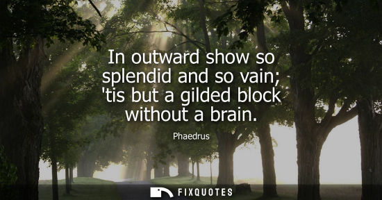 Small: In outward show so splendid and so vain tis but a gilded block without a brain