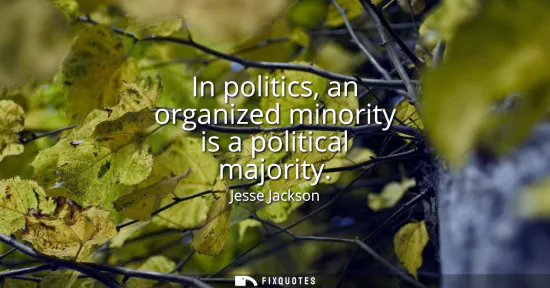 Small: In politics, an organized minority is a political majority