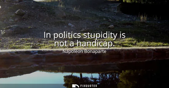Small: In politics stupidity is not a handicap