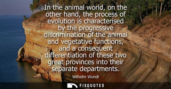 Small: In the animal world, on the other hand, the process of evolution is characterised by the progressive di
